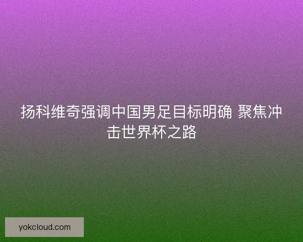 扬科维奇强调中国男足目标明确 聚焦冲击世界杯之路 扬科维奇强调中国男足目标明确 聚焦冲击世界杯之路